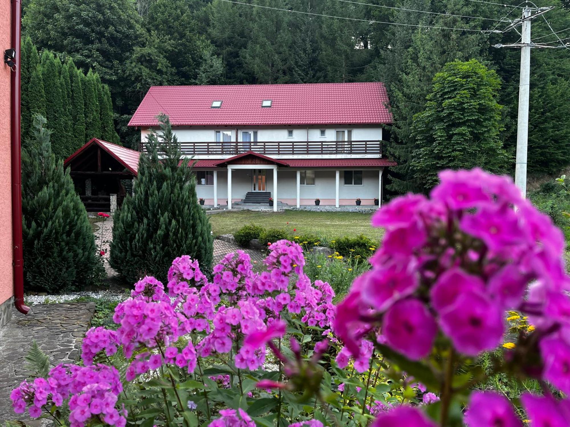 Vacation Villa Sucevita Εξωτερικό φωτογραφία